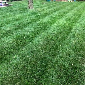 Meet your Posher, Jed